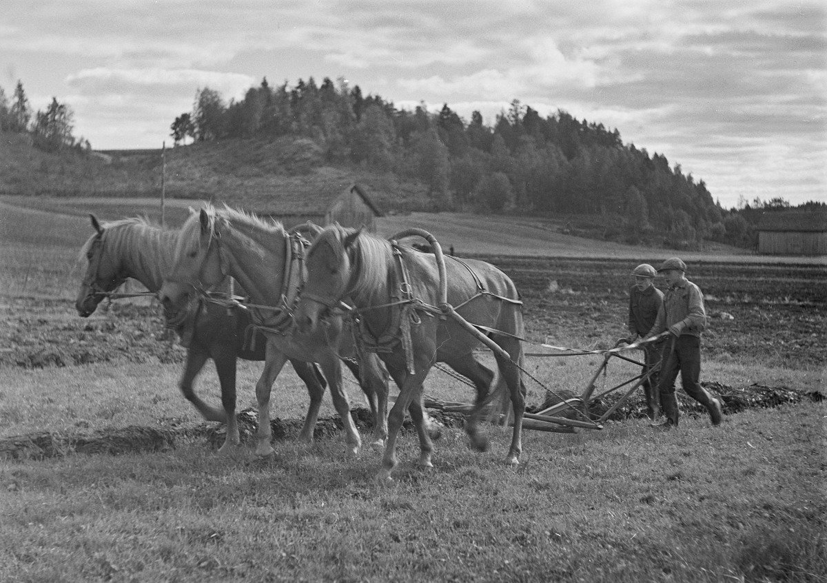Suomalaisen maaseudun historia: Millaista elämä oli ennen vanhaan?