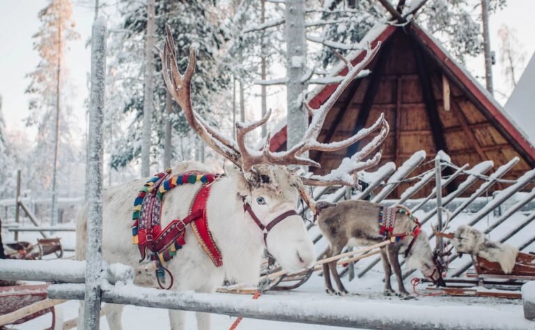 Suomalaiset juhlat ja perinteet: Mistä vanhat tavat ovat peräisin?