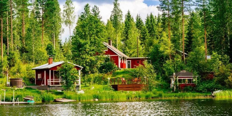 Suomen metsät ja niiden merkitys luonnolle ja ilmastolle
