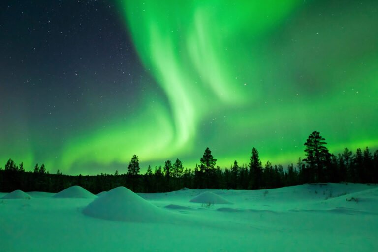 lappi